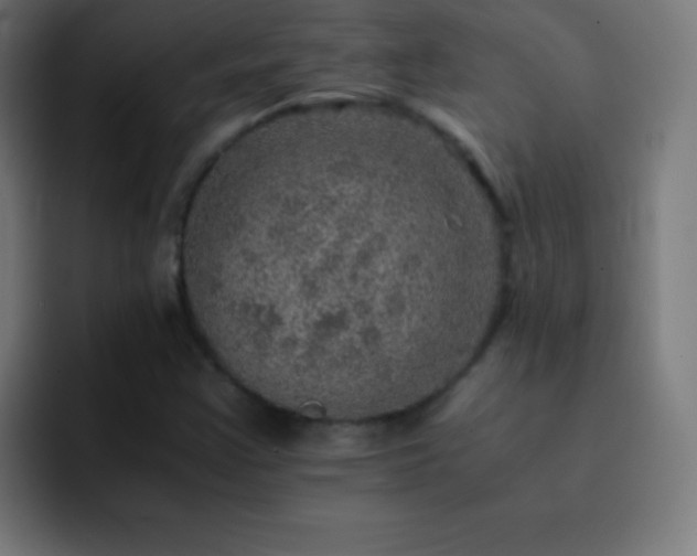 X0000093101355200710031822