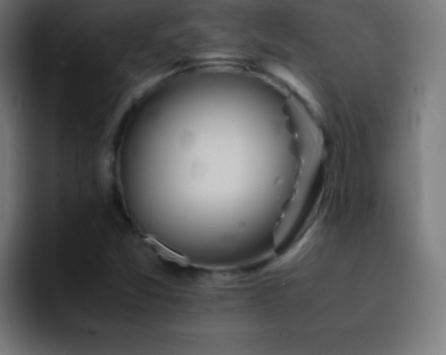 X0000093101357200710031822