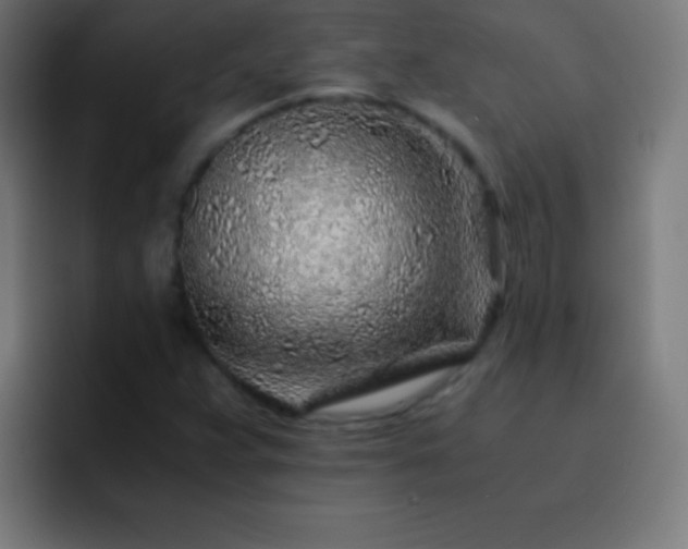 X0000093101359200710031822