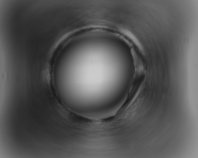 X0000093101360200710031822