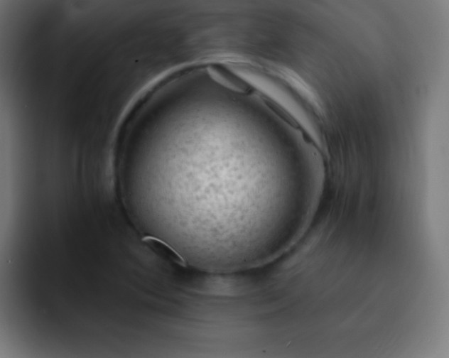 X0000093101364200710031822