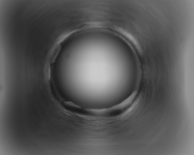 X0000093101365200710031822
