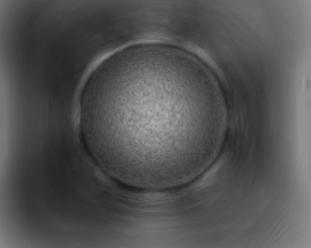 X0000093101366200710031822