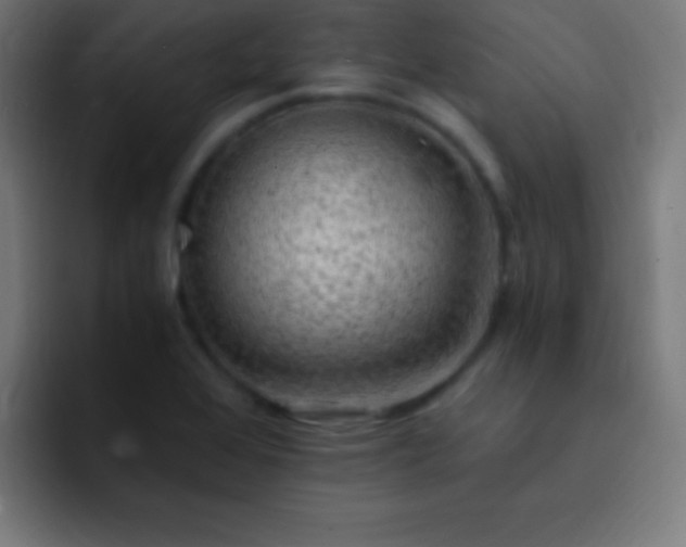 X0000093101368200710031822