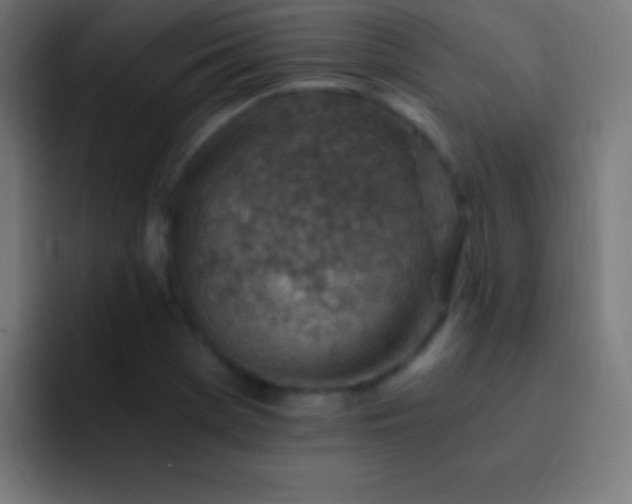 X0000093101369200710031822