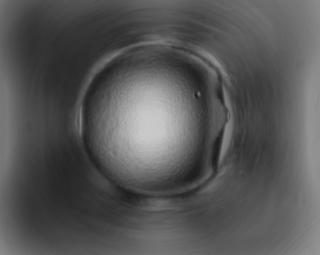 X0000093101371200710031822