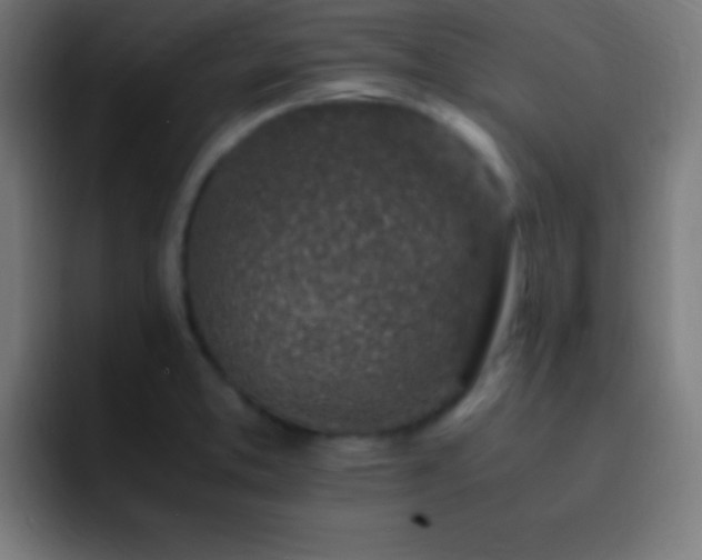 X0000093101373200710031822