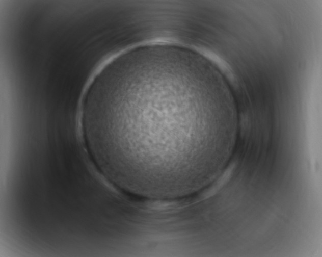 X0000093101374200710031822