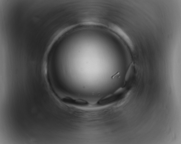 X0000093101376200710031822