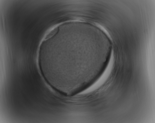X0000093101379200710031822