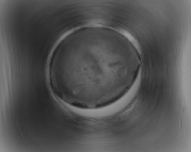 X0000093101384200710031822