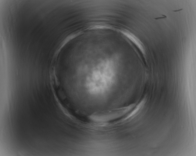 X0000093101385200710031822