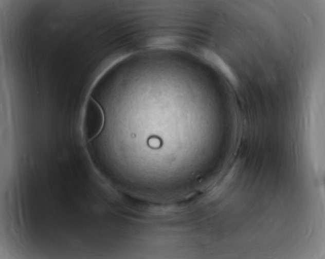 X0000093101386200710031822