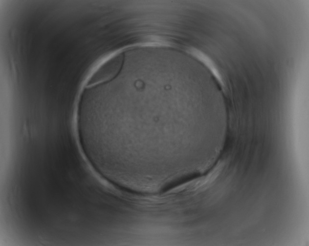 X0000093101387200710031822