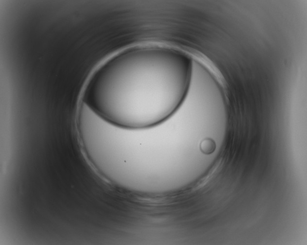X0000093101388200710031822