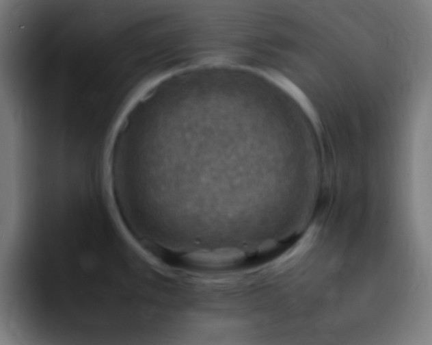 X0000093101389200710031822