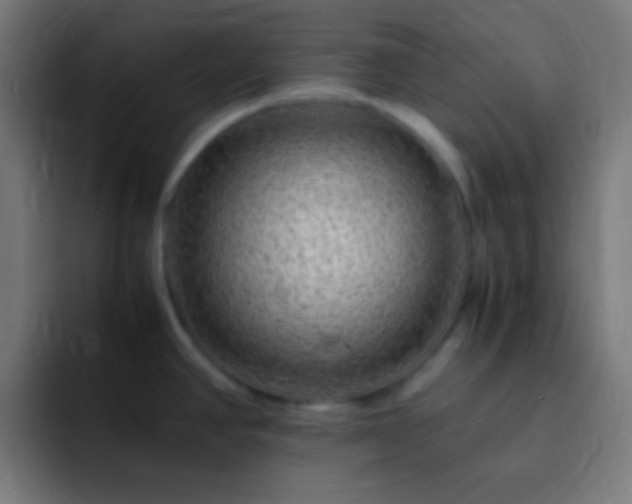X0000093101390200710031822