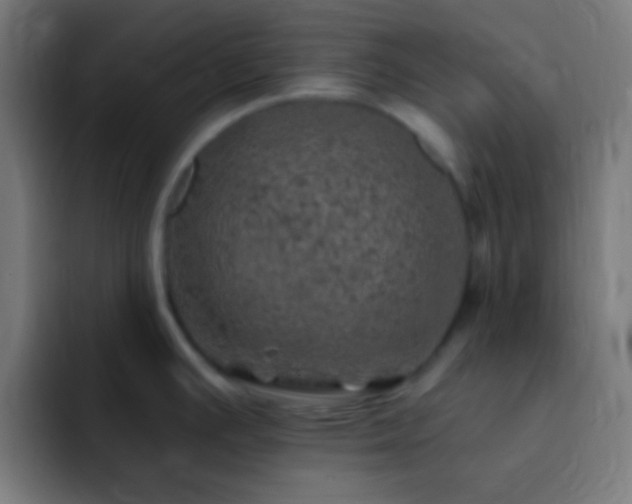 X0000093101391200710031822
