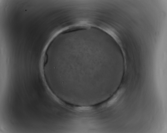X0000093101392200710031822