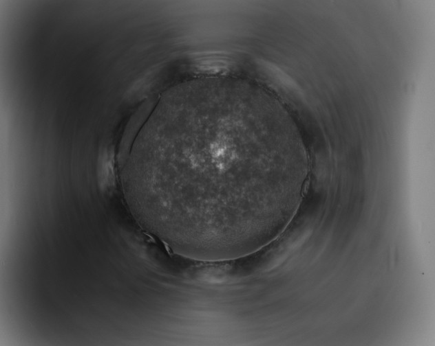 X0000093101394200710031821