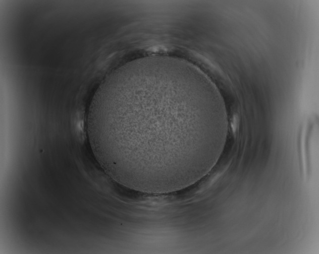 X0000093101396200710031821
