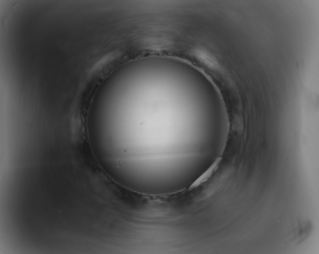 X0000093101398200710031821