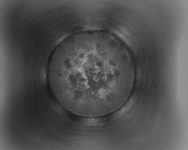 X0000093101401200710031821