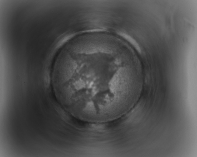 X0000093101407200710031821