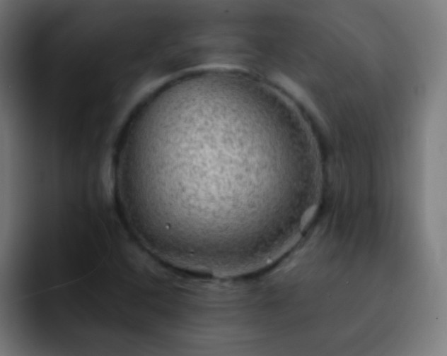 X0000093101408200710031821