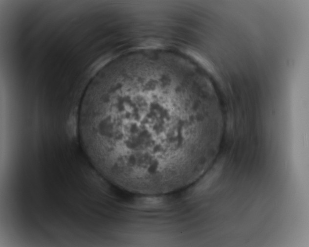 X0000093101409200710031821