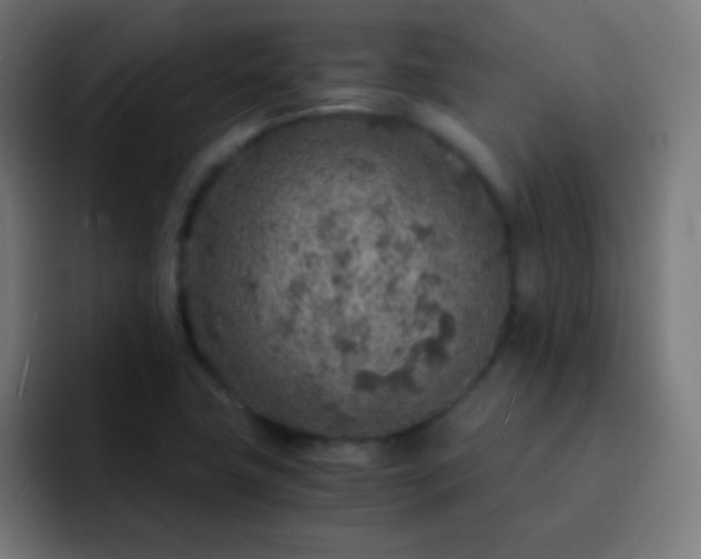 X0000093101411200710031821