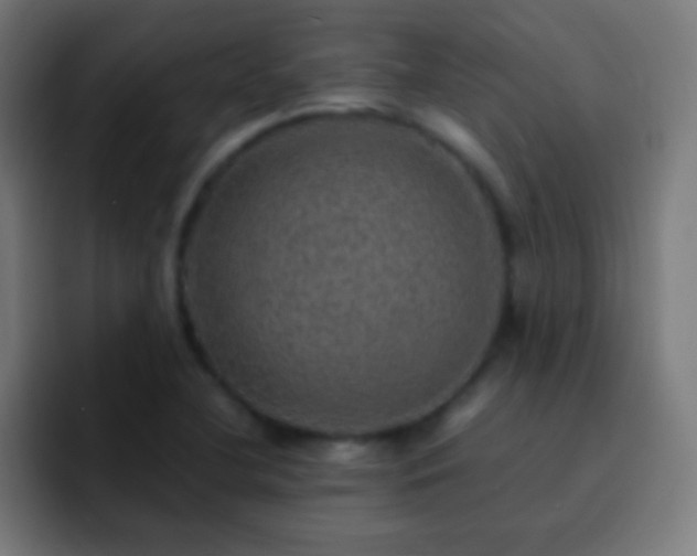 X0000093101412200710031821