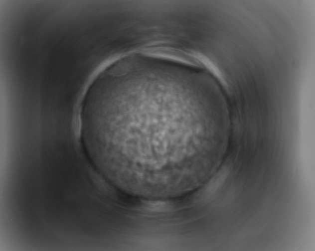X0000093101413200710031821