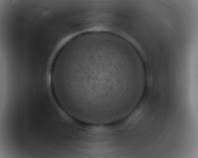 X0000093101416200710031822