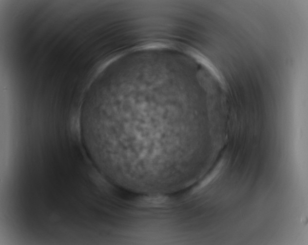 X0000093101417200710031822