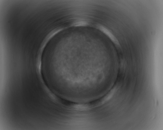 X0000093101418200710031822