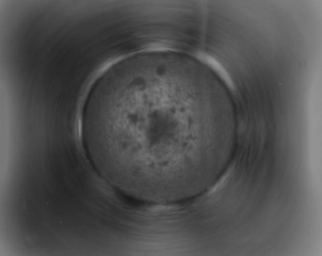 X0000093101419200710031822
