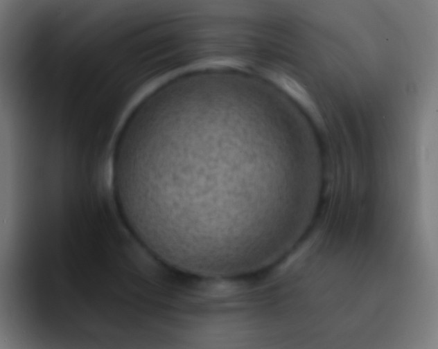 X0000093101420200710031822