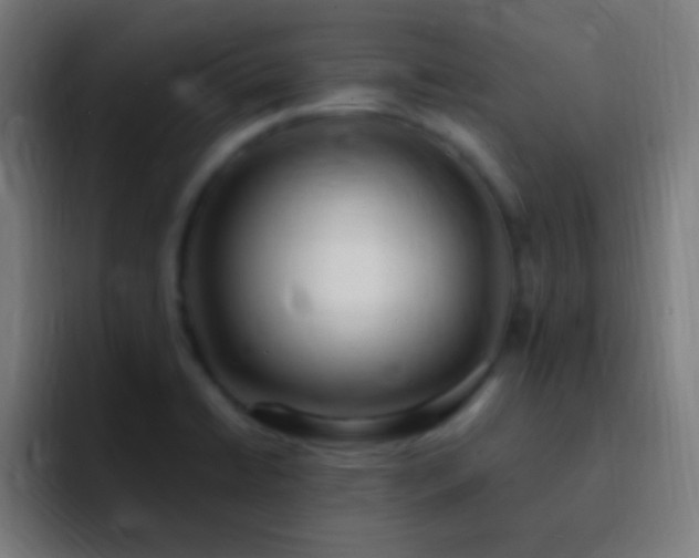 X0000093101422200710031822