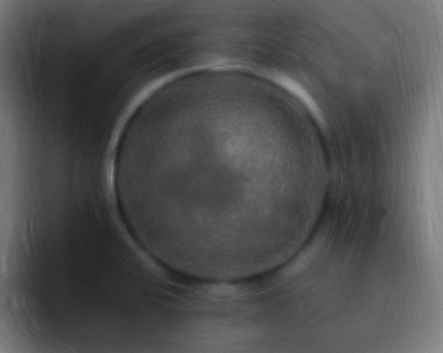 X0000093101424200710031822