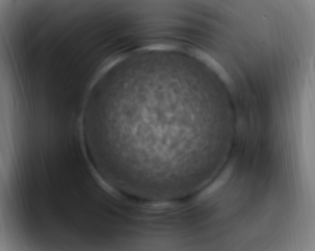 X0000093101425200710031822
