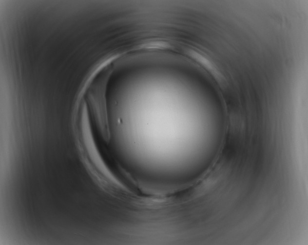 X0000093101426200710031822