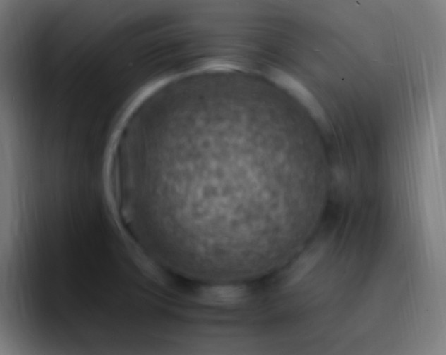X0000093101427200710031822