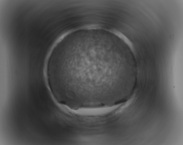 X0000093101429200710031822