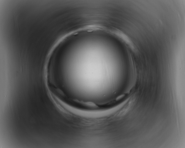 X0000093101430200710031822