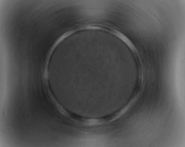 X0000093101436200710031822