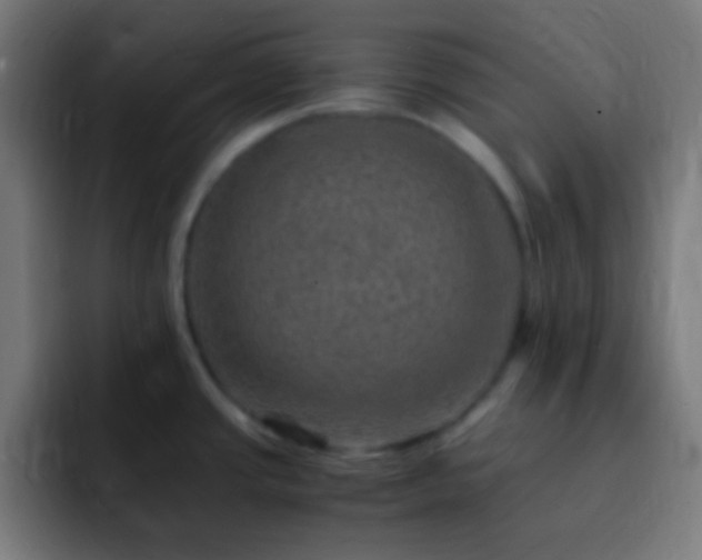 X0000093101437200710031822