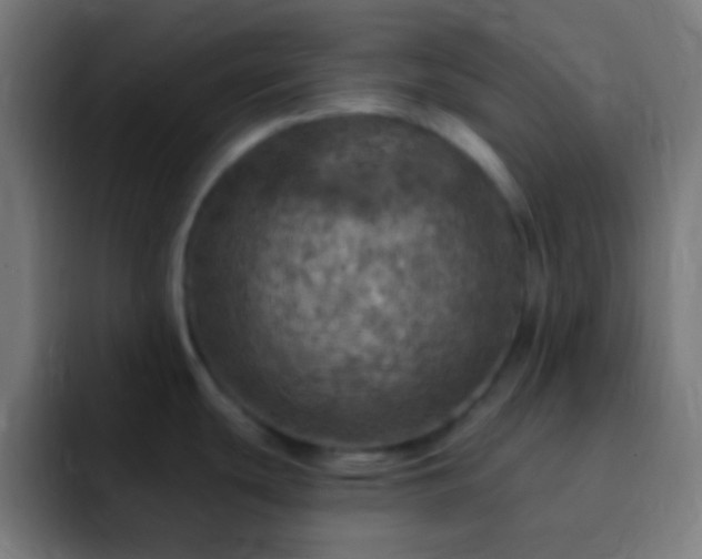 X0000093101439200710031822