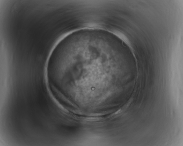 X0000093101440200710031822