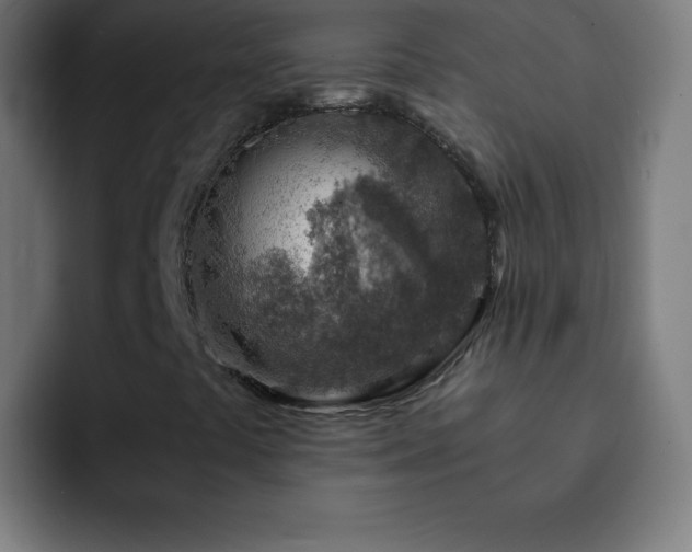 X0000093101441200710031821